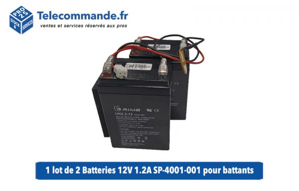 1-lot-de-2-Batteries-12V-1.2A-SP-4001-001-pour-battants