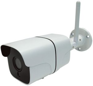 Caméra de surveillance Biicam 